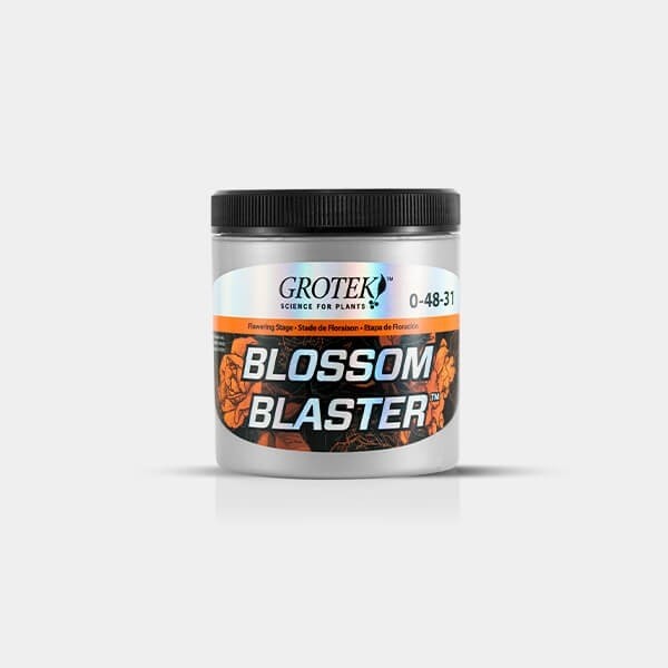 Blossom Blaster