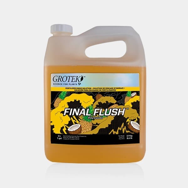 Final Flush