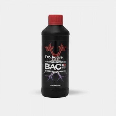 Pro Active