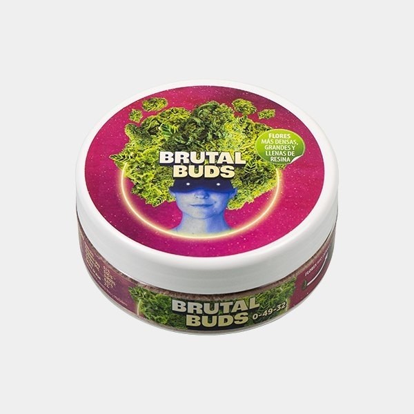 Voir brutal buds 1