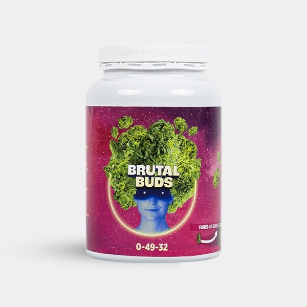brutal buds 2