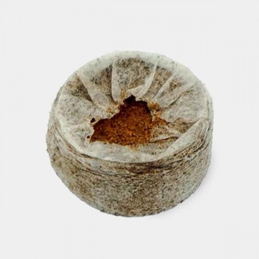 Jiffy7 de coco 35 mm