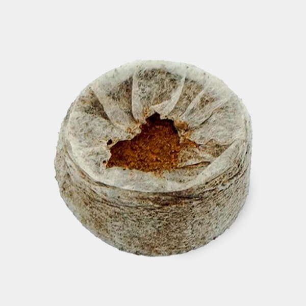 Jiffy7 de coco 35 mm