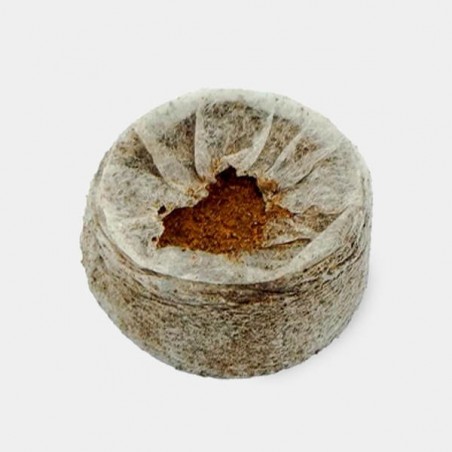 Jiffy7 de coco 35 mm