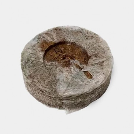 Jiffy's en Tourbe de 24mm pour germination - Grow Barato