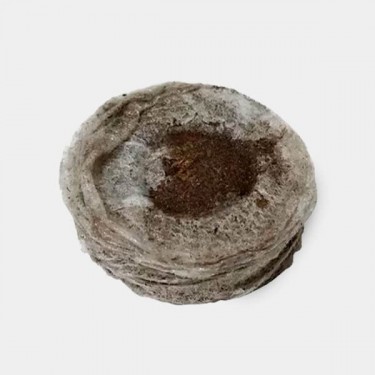 Pastilles Jiffy 7 en Tourbe de 33 mm - Grow Barato