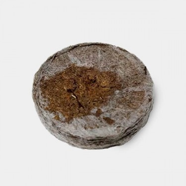 Disques de tourbe pressée Jiffy7 41 et 44 mm - Grow Barato