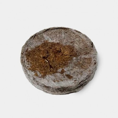 Disques de tourbe pressée Jiffy7 41 et 44 mm - Grow Barato