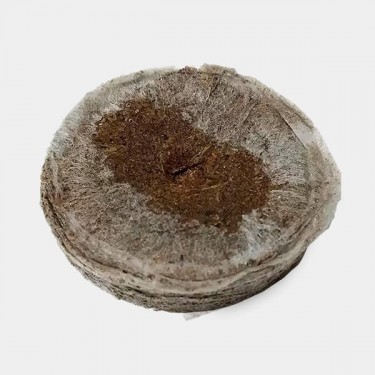Disques de tourbe pressée Jiffy7 41 et 44 mm - Grow Barato
