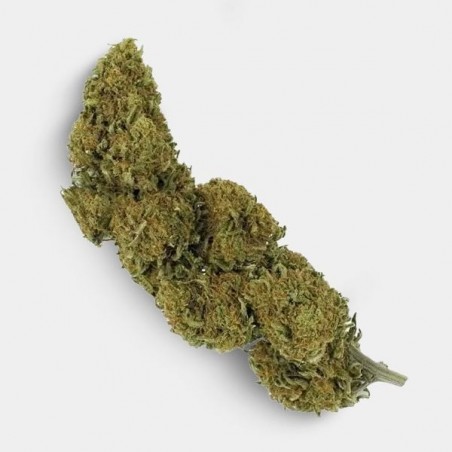 Fleurs de CBD Outdoor 25 g + Trousse anti-odeur GB OG Kush
