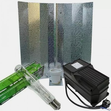 1 graine autofloraison féminisée offerte - Grow Barato