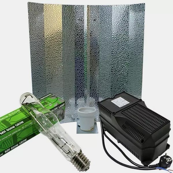 Kit d'éclairage pour Croissance