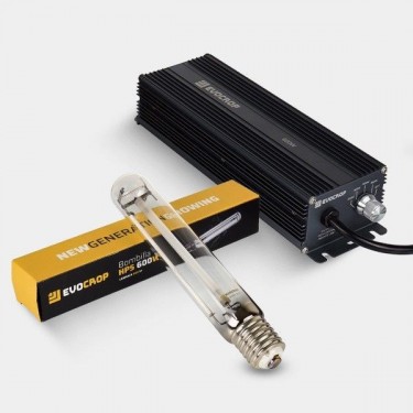 Acheter kit d'éclairage Lamarck 600 W dimmable - Grow Barato