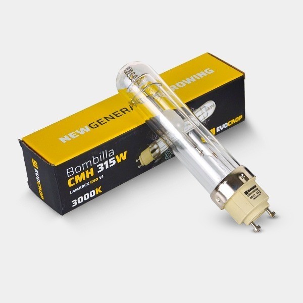 Acheter Kit d'éclairage LEC Lamarck 315 W - GB