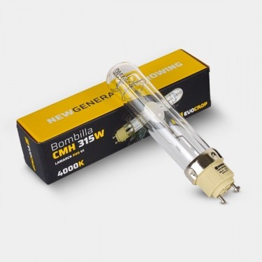 Acheter Kit d'éclairage LEC Lamarck 315 W - GB