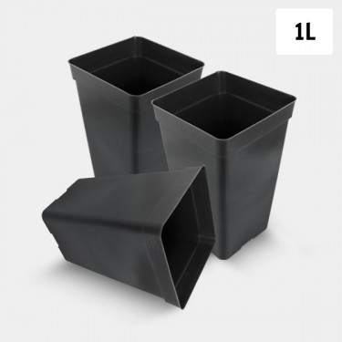 Pack Pot Carré 1L - GB The Green Brand