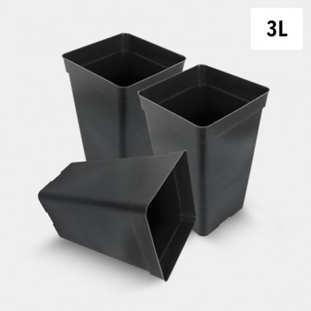 Pack Pot Carré 3 L - GB The Green Brand