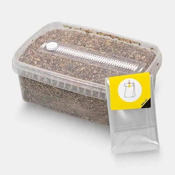 Voir Substrat pour Champignons magiques - GB The Green Brand