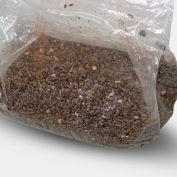 Sac de culture pour champignons - GB The Green Brand