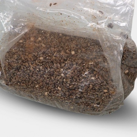 Sac de culture pour champignons - GB The Green Brand