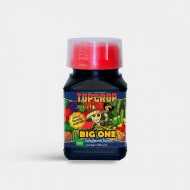 Big One stimulateur de floraison de Top Crop - Grow Barato