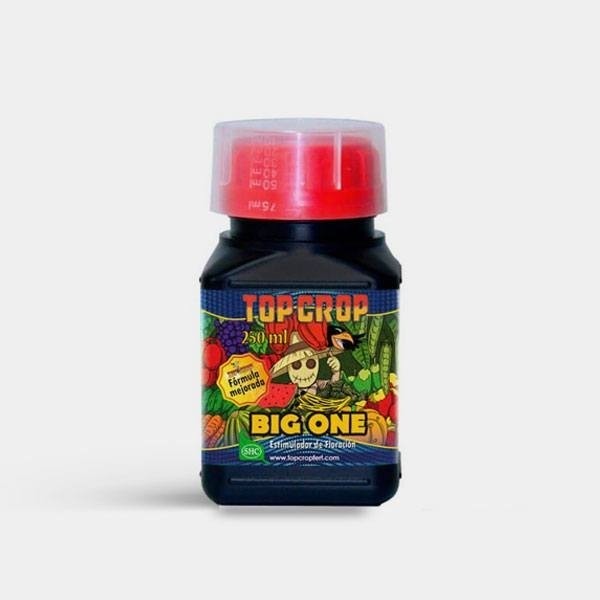 Big One stimulateur de floraison de Top Crop - Grow Barato