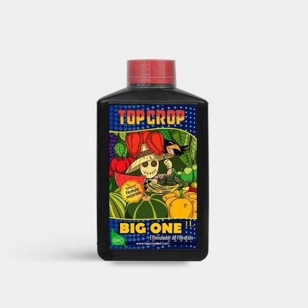 Big One - Top Crop