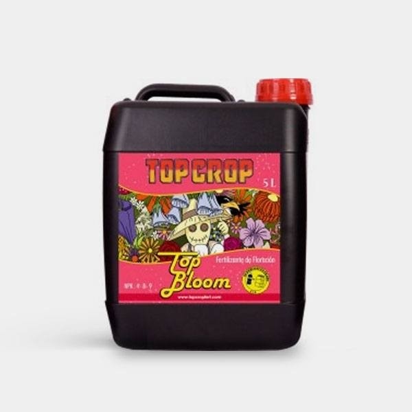 Top Bloom