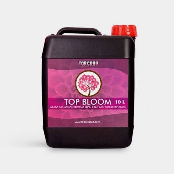 Top Bloom