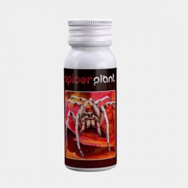 Spiderplant Anti acariens de Agrobacterias - Grow Barato