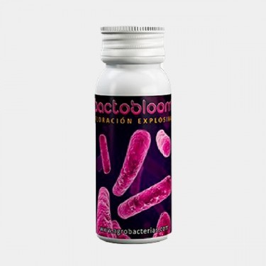 Bactobloom stimulateur de floraison - Grow Barato