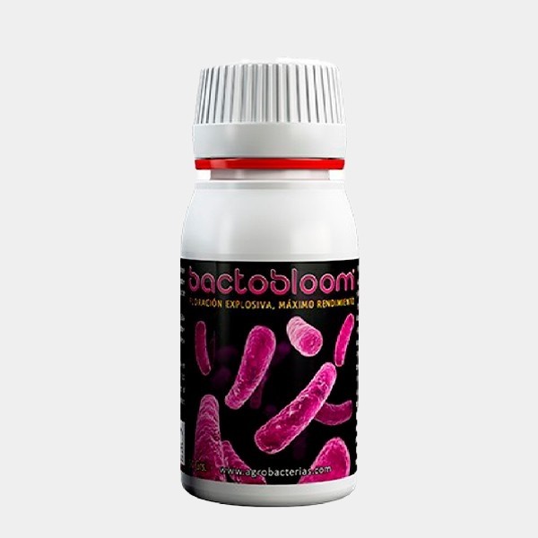 Bactobloom Floraison