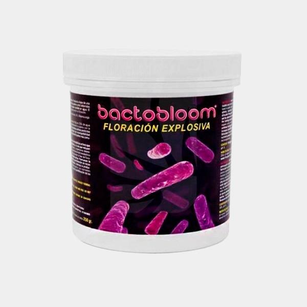 Bactobloom Floraison
