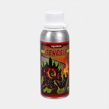 Genesis