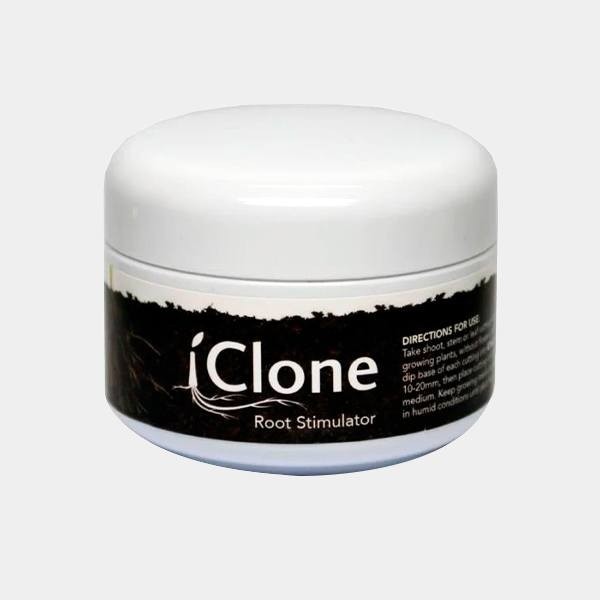 iClone Gel de bouturage