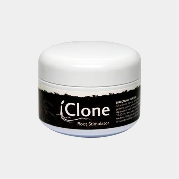 iClone Gel de bouturage