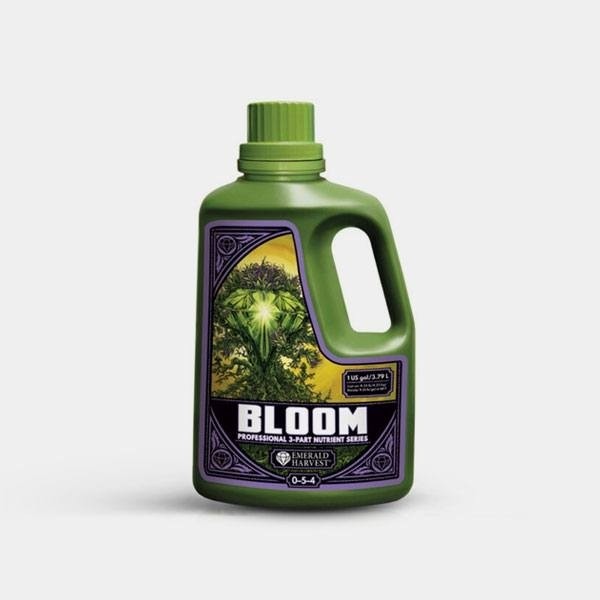 Bloom Prof 3 Parties