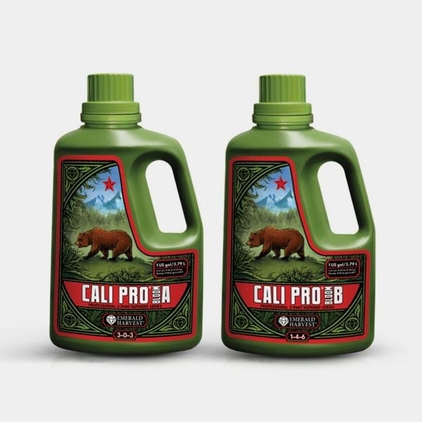 Cali Pro Bloom A+B