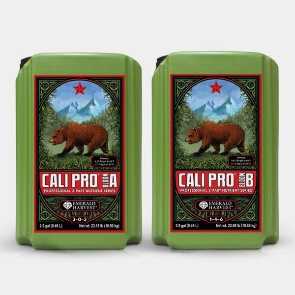 Cali Pro Bloom A+B
