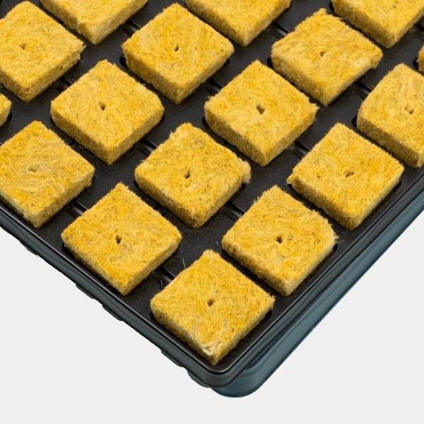 Acheter plateau de cubes de laine de roche - Grow Barato