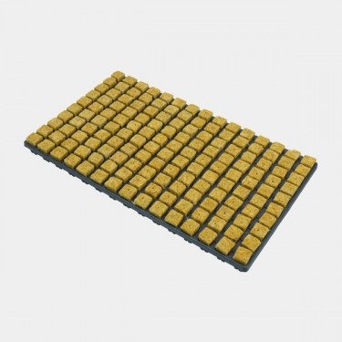 Plateau de cubes de laine de roche