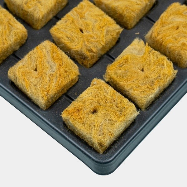 Plateau de cubes de laine de roche