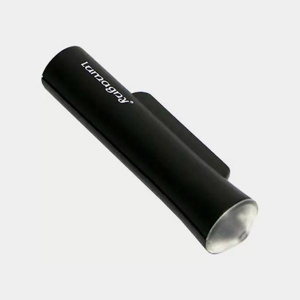 Voir Microscope LED 100x