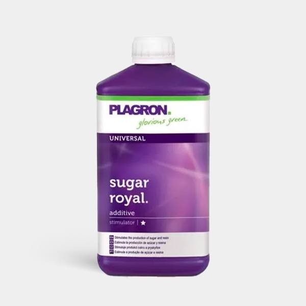 Sugar Royal