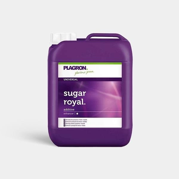Sugar Royal