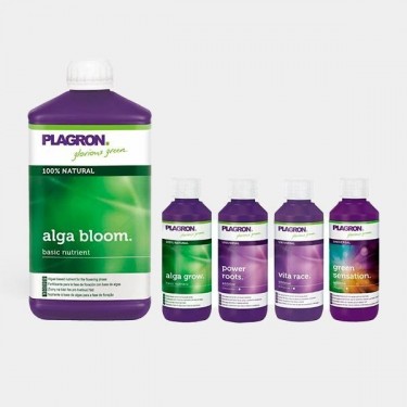 Top Grow Box Bio kit de culture de Plagron - Grow Barato