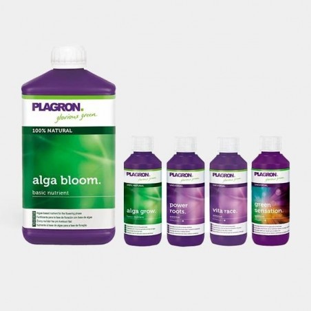 Top Grow Box Bio kit de culture de Plagron - Grow Barato