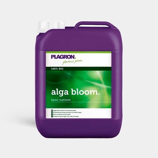 Alga Bloom