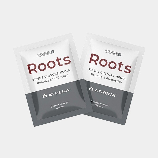 Voir Athena Roots Culture Media pour enraciner -  GB The Green Brand