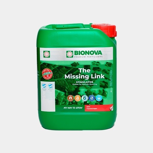 The Missing Link